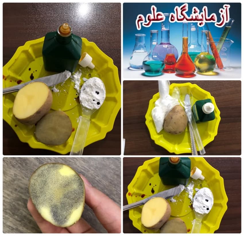 زنگ علوم 