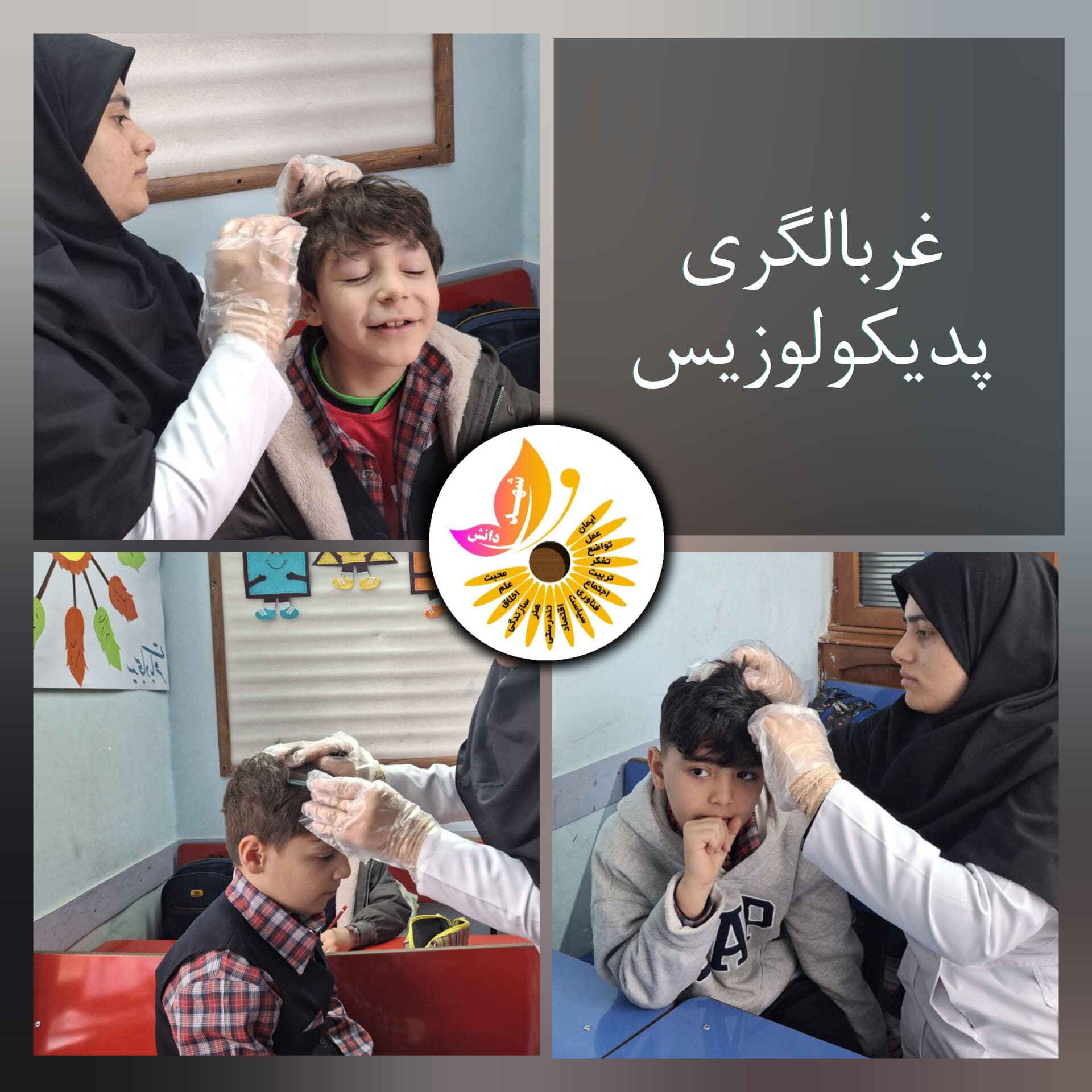 غربالگری پدیکولوزیس (شپش)